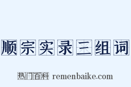 顺宗实录三组词是什么意思的图片